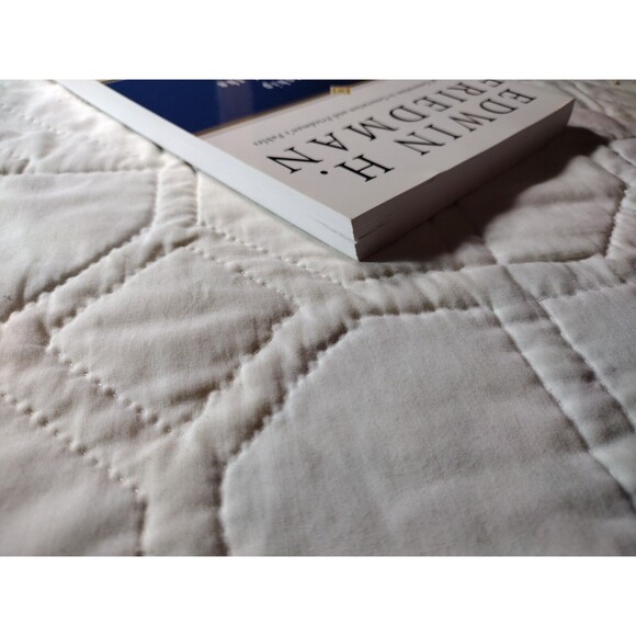 A Failure of Nerve: Leadership in the Age of the Quick Fix By Edwin H. Friedman - Picture 8 of 14